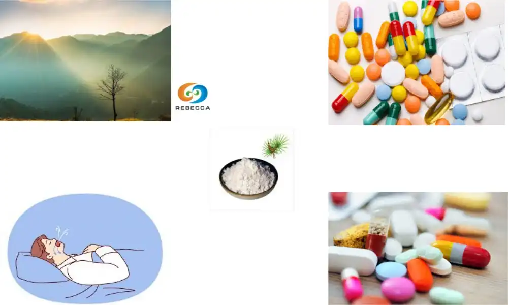 Is It Better to Take Saw Palmetto in the Morning or at Night?